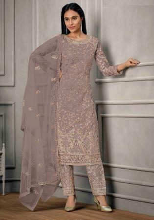 Picture of Well Formed Net Grey Straight Cut Salwar Kameez