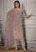 Picture of Well Formed Net Grey Straight Cut Salwar Kameez