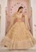 Picture of Statuesque Net Burly Wood Lehenga Choli