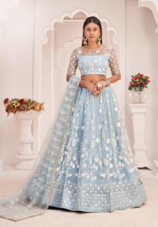 Picture of Excellent Net Light Steel Blue Lehenga Choli