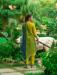 Picture of Cotton Dark Golden Rod Readymade Salwar Kameez