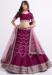 Picture of Resplendent Net Brown Lehenga Choli