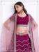 Picture of Resplendent Net Brown Lehenga Choli