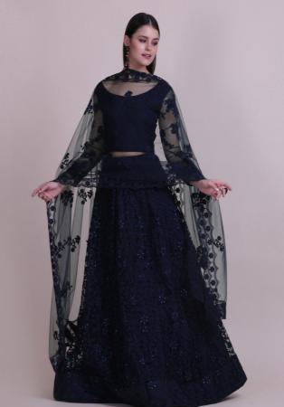 Picture of Exquisite Net & Silk Dark Slate Grey Lehenga Choli