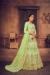 Picture of Charming Net Dark Khaki Lehenga Choli