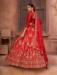 Picture of Amazing Net Fire Brick Lehenga Choli