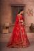 Picture of Amazing Net Fire Brick Lehenga Choli