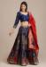 Picture of Splendid Net & Silk Dark Slate Blue Lehenga Choli