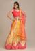 Picture of Classy Net & Silk Dark Salmon Lehenga Choli