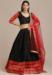 Picture of Magnificent Net & Silk Black Lehenga Choli