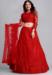 Picture of Radiant Net Crimson Lehenga Choli