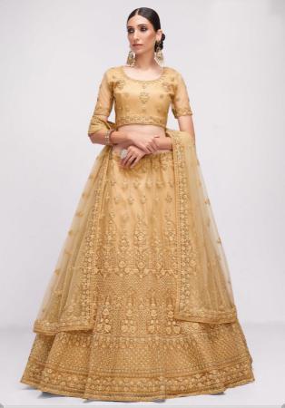 Picture of Taking Net Burly Wood Lehenga Choli