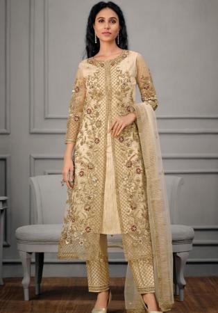 Picture of Sublime Net Burly Wood Straight Cut Salwar Kameez