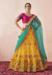 Picture of Appealing Net Khaki Lehenga Choli