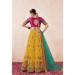 Picture of Appealing Net Khaki Lehenga Choli