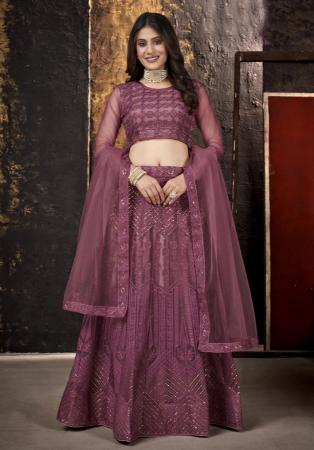 Picture of Well Formed Net Sienna Lehenga Choli