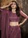 Picture of Well Formed Net Sienna Lehenga Choli