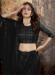 Picture of Alluring Net Black Lehenga Choli