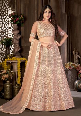 Picture of Beauteous Net Tan Lehenga Choli