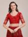 Picture of Statuesque Net Fire Brick Lehenga Choli