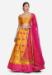 Picture of Graceful Net & Silk Sandy Brown Lehenga Choli