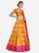 Picture of Graceful Net & Silk Sandy Brown Lehenga Choli