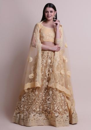 Picture of Beautiful Net & Silk Tan Lehenga Choli