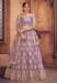 Picture of Taking Net Thistle Lehenga Choli