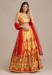 Picture of Beautiful Net & Silk Sandy Brown Lehenga Choli