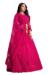 Picture of Radiant Net Crimson Lehenga Choli