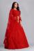 Picture of Radiant Net Crimson Lehenga Choli