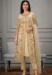 Picture of Sublime Net Burly Wood Straight Cut Salwar Kameez