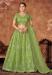 Picture of Marvelous Organza Dark Khaki Lehenga Choli