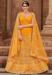 Picture of Graceful Net Orange Lehenga Choli