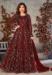 Picture of Magnificent Net Sienna Anarkali Salwar Kameez