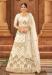 Picture of Sublime Georgette & Satin Tan Lehenga Choli