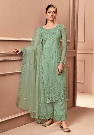 Picture of Net Dark Sea Green Straight Cut Salwar Kameez