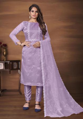 Picture of Organza Light Slate Grey Straight Cut Salwar Kameez