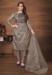 Picture of Stunning Organza Grey Straight Cut Salwar Kameez