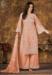 Picture of Beauteous Net Burly Wood Straight Cut Salwar Kameez