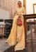 Picture of Good Looking Organza Sandy Brown Saree