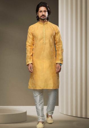 Picture of Exquisite Silk Peru Kurtas