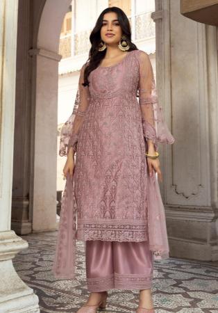 Picture of Pretty Net Rosy Brown Straight Cut Salwar Kameez