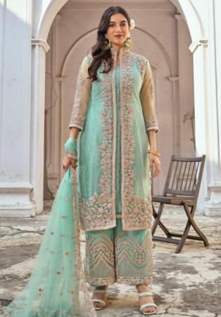 Picture of Net Dark Sea Green Straight Cut Salwar Kameez