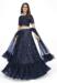 Picture of Marvelous Georgette Indigo Lehenga Choli