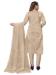 Picture of Delightful Organza Tan Straight Cut Salwar Kameez