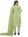 Picture of Organza Dark Khaki Straight Cut Salwar Kameez