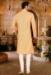 Picture of Statuesque Cotton Khaki Kurtas