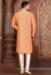 Picture of Pleasing Silk Dark Salmon Kurtas