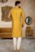 Picture of Grand Silk Golden Rod Kurtas